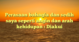 Perasaan bahagia dan sedih saya seperti angin dan arah kehidupan : Diakui